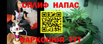 гидропоника Кингисепп